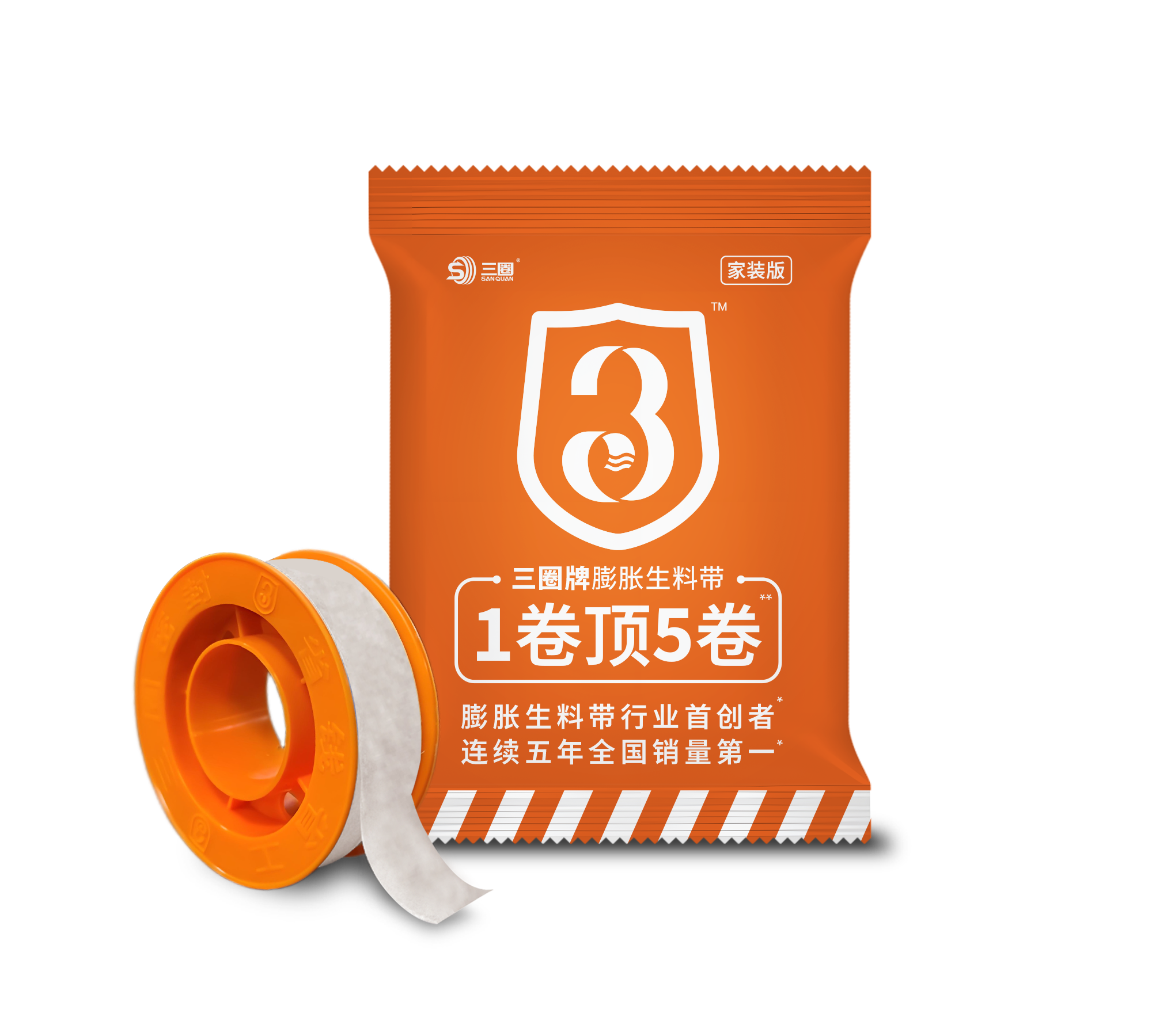 家装版
